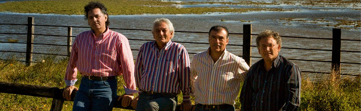 Amigos de Gines